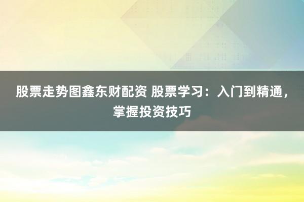 股票走势图鑫东财配资 股票学习：入门到精通，掌握投资技巧