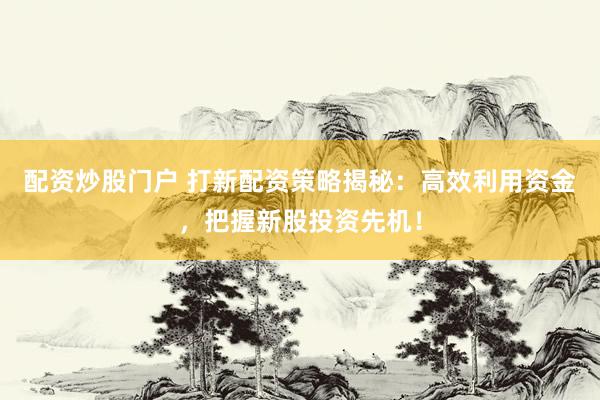 配资炒股门户 打新配资策略揭秘：高效利用资金，把握新股投资先机！
