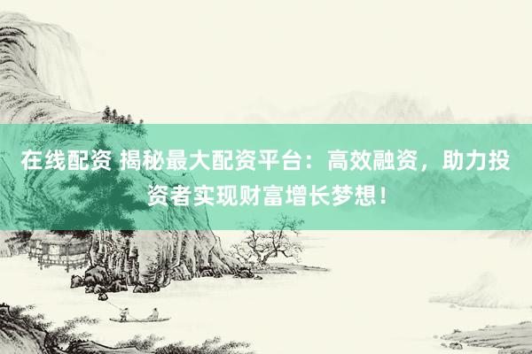 在线配资 揭秘最大配资平台：高效融资，助力投资者实现财富增长梦想！