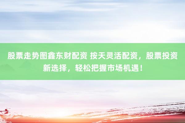 股票走势图鑫东财配资 按天灵活配资，股票投资新选择，轻松把握市场机遇！