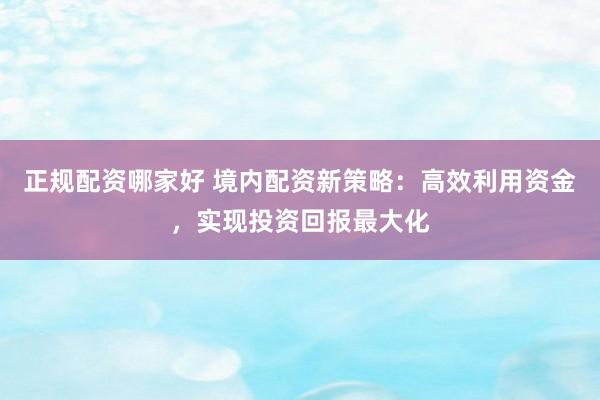 正规配资哪家好 境内配资新策略：高效利用资金，实现投资回报最大化