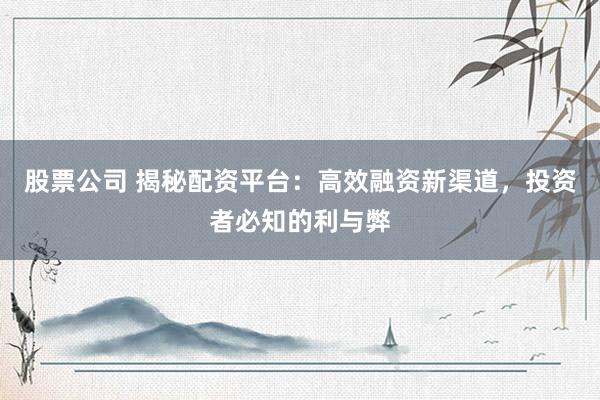 股票公司 揭秘配资平台：高效融资新渠道，投资者必知的利与弊