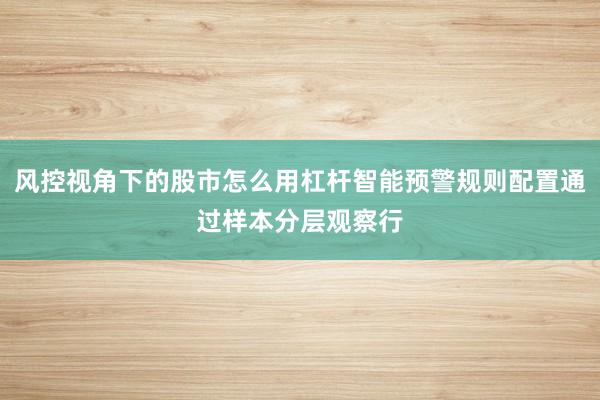 风控视角下的股市怎么用杠杆智能预警规则配置通过样本分层观察行