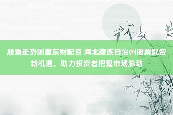 股票走势图鑫东财配资 海北藏族自治州股票配资新机遇,助力投资者把握市场脉动