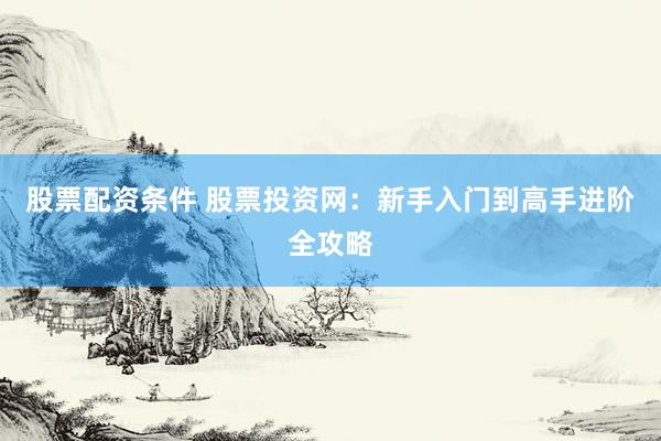股票配资条件 股票投资网：新手入门到高手进阶全攻略